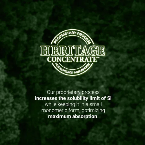 Miniatura 8 de Living Silica Potenciador de colágeno a base de plantas Potenciador de colágeno vegano Apoya la producción saludable de colágeno y elastina