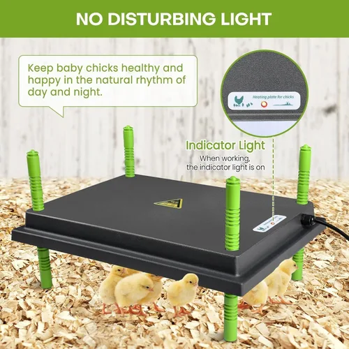 Miniatura 8 de Placa calefactora para pollitos, placa calefactora de 12 x 16 pulgadas para pollitos con pantalla ajustable de altura y temperatura, placa