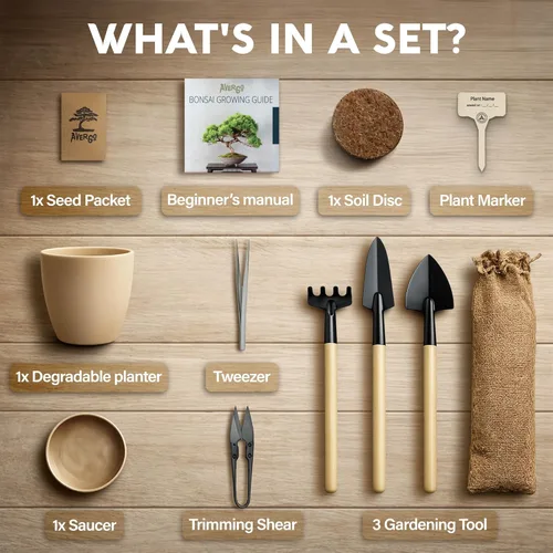 Miniatura 12 de Kit de inicio de Bonsái – Cultivo de Jacaranda Bonzai Kit completo de árbol interior para cultivar plantas con herramientas y maceta – Regalos