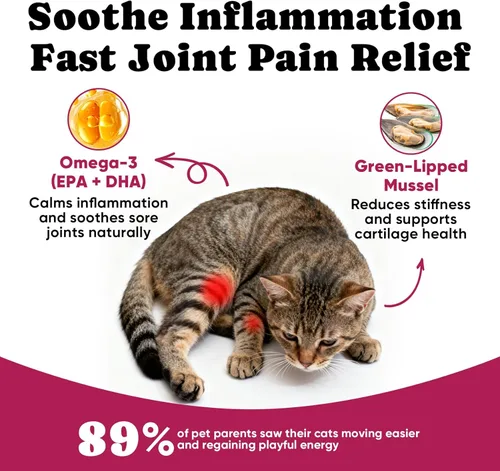 Miniatura 4 de Glucosamina para gatos, suplemento para articulaciones de gatos con condroitina, omega-3 y mejillón de labios verdes, alivio del dolor, golosinas