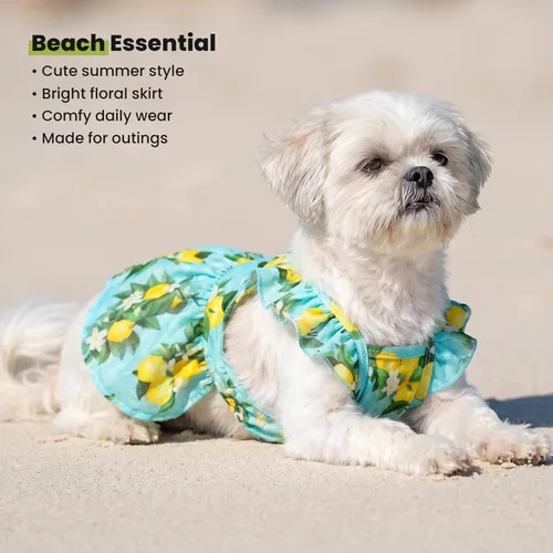 Miniatura 8 de Vestido de limón para perros Fitwarm, ropa para perros pequeños para niñas, ropa para mascotas para gatos, azul teja, amarillo, verde, XS