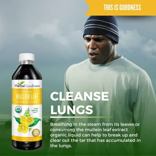 Miniatura 6 de Herbal Goodness Gotas de Gordolobo para los Pulmones - Apoyo Respiratorio, Extracto de Hoja de Gordolobo para los Pulmones, Desintoxicación