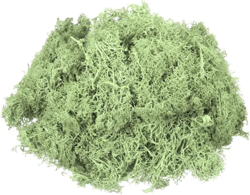 Miniatura 7 de MECCANIXITY Musgo de reno preservado de 4.6 onzas, musgo artificial decorativo gris para plantas en maceta, manualidades de interiores, centros