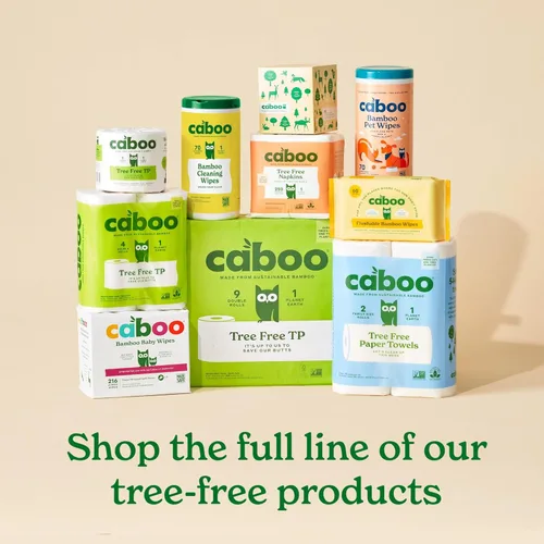 Miniatura 9 de Caboo Cuencos desechables de papel de bambú, paquete de 125 cuencos biodegradables resistentes de 14 onzas, cuenco compostable, cuenco de fiesta
