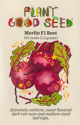 Plant Good Seed Organic Merlin F1 - Semillas de remolacha roja, paquete de 125, semillas tradicionales para plantar verduras, suministros de