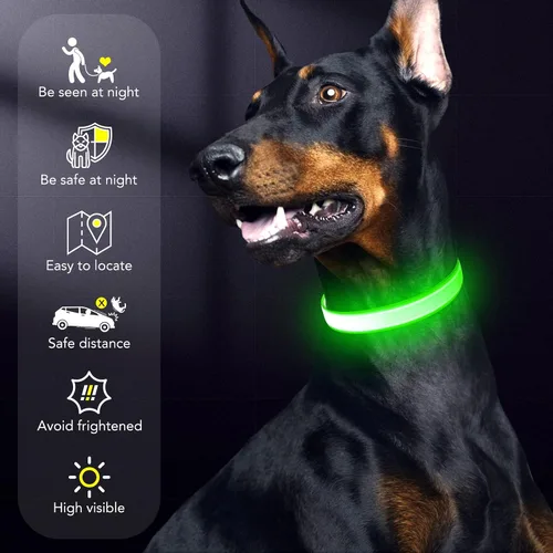 Miniatura 6 de Collar de perro con luz LED, recargable por USB, tamaño ajustable, correas de nailon TPU resistentes, collares básicos de seguridad para perros