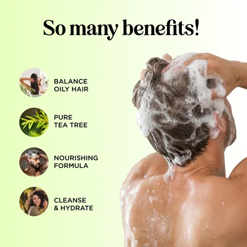 Miniatura 2 de Juego de champú y acondicionador de árbol de té, champú y acondicionador clarificante sin sulfato para el cuidado del cabello graso y el cuero