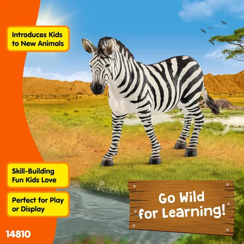 Miniatura 4 de Schleich Wild Life - Figura de cebra femenina realista – Juguete auténtico y altamente detallado de animales salvajes, duradero para la educación