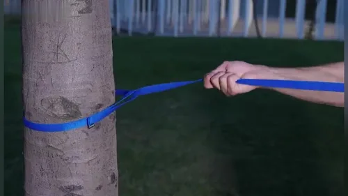 Miniatura 7 de AMAGOOD Correa larga para perro para entrenamiento de perros de 15, 20, 30, 50 y 100 pies de largo, para entrenamiento de perros medianos y Azul