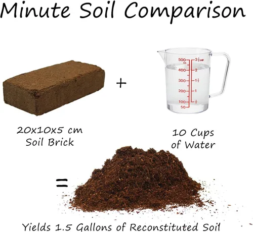 Miniatura 4 de Living Whole Foods Kit de cultivo de pasto de trigo orgánico certificado - Cultiva y jugo de hierba de trigo bandejas, semillas, tierra de coco