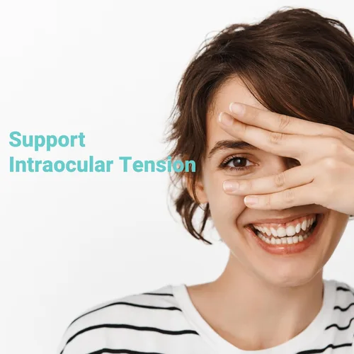 Miniatura 5 de UpNourish AREDS 2 Vitaminas oculares para personas mayores, suplemento de salud ocular de luteína para adultos, alivio de la fatiga ocular por