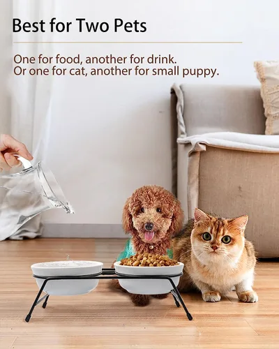 Miniatura 6 de COMESOON Cuenco de cerámica para gatos de 5 pulgadas con patrón de hueso de pescado, cuenco de comida para gatos para alimentos y agua, platos