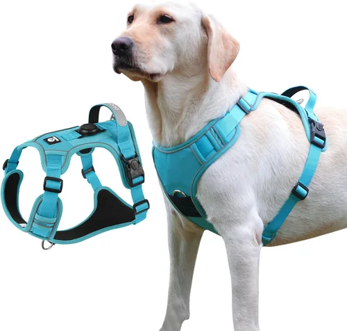 Miniatura 10 de Arnés para perro, chaleco ajustable mejorado a prueba de escapes, para caminar al aire libre, chaqueta suave y transpirable con tiras reflectantes