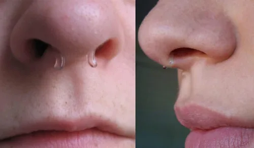 Miniatura 6 de MODRSA - Anillos de nariz transparentes y pernos - Retenedores de perforación de nariz de plástico - 16 g, 18 g, 20 g - Aretes de cartílago
