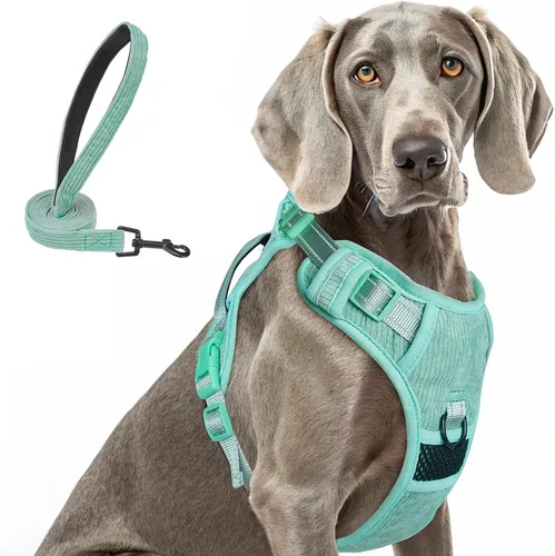 Miniatura 20 de BEAUTYZOO Arnés para perro sin tirones pequeño, juego de arnés y correa ajustable para perro - Fácil de usar con 3 hebillas/mango de control, arnés