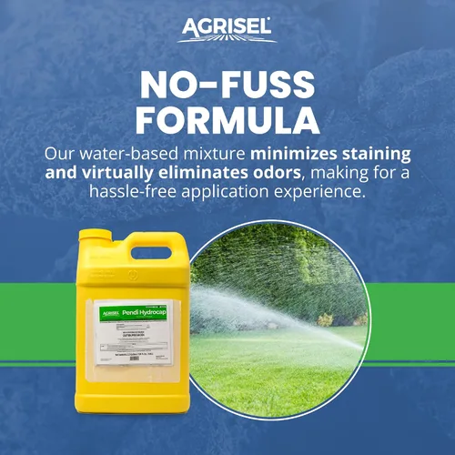Miniatura 3 de Agrisel Pendi Hydrocap - Herbicida con fórmula pre-emergente, eficaz en más de 40 hierbas y hierbas de hoja ancha, sin manchas, se mezcla