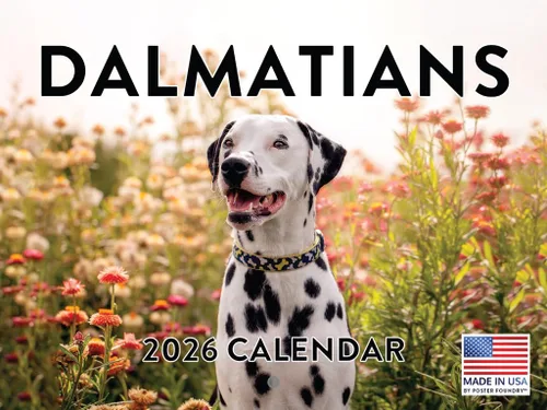 Miniatura 109 de Calendario de pared mensual 2025 Great Dane de 12 meses, fabricado en Estados Unidos