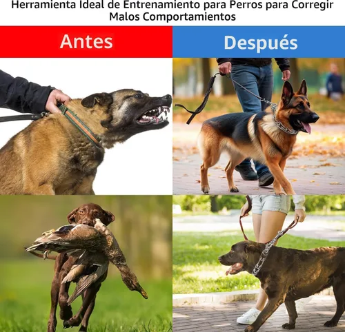 Miniatura 3 de Collares de púas para perros, collar de perro sin tirones, collar de entrenamiento para perros grandes, medianos y pequeños, de acero inoxidable