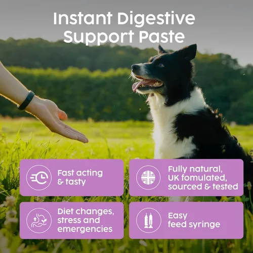 Miniatura 3 de Protum - Pasta probiótica para perros, fórmula prebiótica avanzada de 1.0 fl oz para apoyo digestivo, sabroso sabor a maní para la salud intestinal