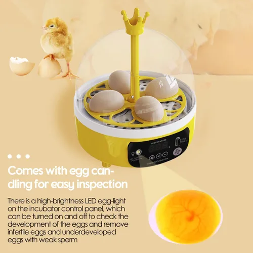 Miniatura 4 de Tissting Incubadora de huevos con giro manual de huevos y control de humedad, incubadoras para incubar huevos, incubadora de aves de corral
