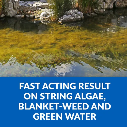 Miniatura 3 de CrystalClear Algae D-Solv - Alguicida de acción rápida registrado por la EPA, control de algas para fuentes y estanques al aire libre con koi