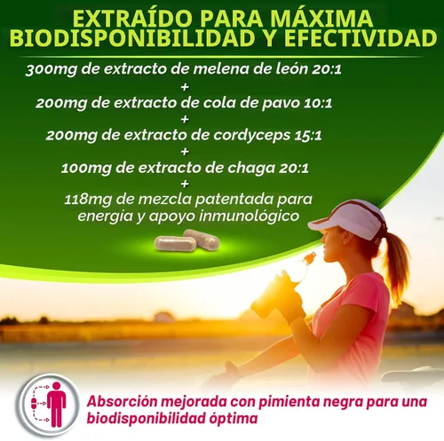 Miniatura 3 de Complejo orgánico de hongos: melena de león, cola de pavo, cordyceps, chaga, contiene beta-glucanos naturales - Mezcla de energía orgánica y apoyo