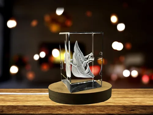 Miniatura 33 de Regalo para médicos 3D grabado en cristal recuerdo/regalo/decoración/(pequeño (3 x 2 x 2 pulgadas), arterias)