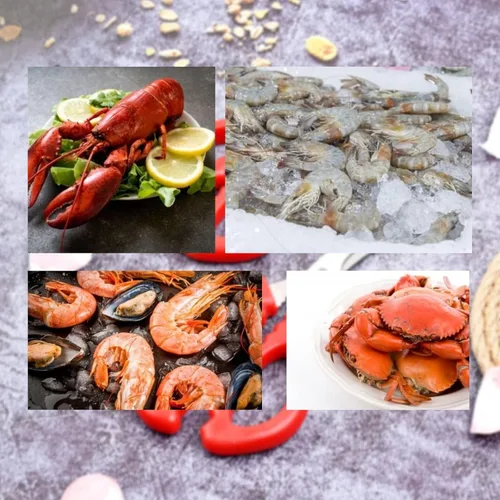 Miniatura 6 de Tijeras de mariscos de cocina, tijeras multifuncionales de acero inoxidable, tijeras de mariscos, tijeras de cangrejo para langosta, tijeras de 8