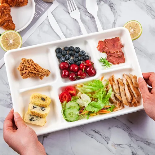 Miniatura 3 de ECOLipak Platos de 5 compartimentos 100% compostables, paquete de 100 platos de papel desechables con compartimentos, platos biodegradables de caña