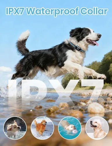 Miniatura 6 de Smart 2-in-1 Dog Shock and Bark Collar - AI Anti-Misoperation, 3300FT Remote Training Collar, IPX7 Waterproof, 4 Modes