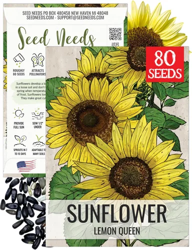 Miniatura 44 de Seed Needs Semillas de girasol para plantar girasoles de manchas solares enanas, semillas de flores de corte anual de polinización abierta