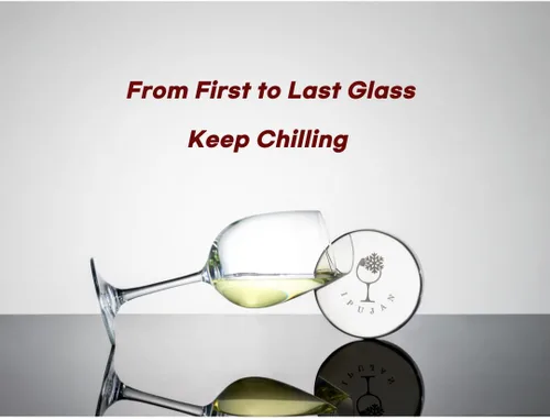 Miniatura 8 de Cubo enfriador de vino con piedra de hielo inoxidable, cubo de champán para botella individual de 25.4 fl oz de frío hasta 5 horas, cubo enfriador