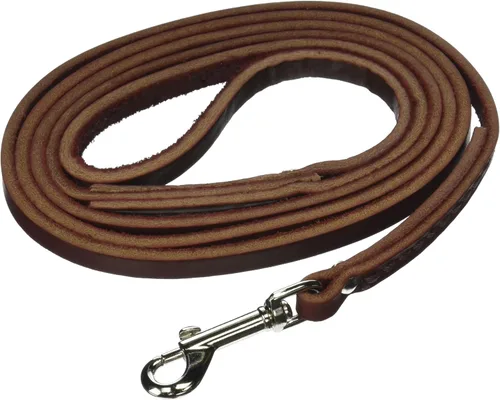 Leather Brothers - Correa para perro Latigo de 6 pies x 3/8 pulgadas, mediano, color borgoña