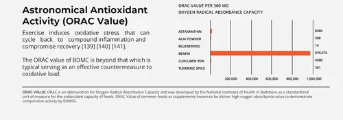 Miniatura 3 de Pro NovoCurcumin-BioBDMC50-Next Generation Curcumina altamente mejorada - 240 cápsulas