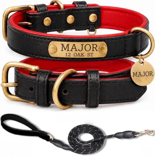 Collar de cuero para perro personalizado y juego de correa, personalizado con diseño acolchado suave y resistente con placa de nombre grabada