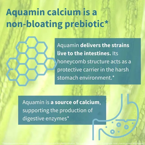 Miniatura 4 de Probióticos y prebióticos Igennus, Lactobacillus acidophilus y bifidobacterias, Live Cultures+ Lab4, garantizado 25 mil millones de UFC