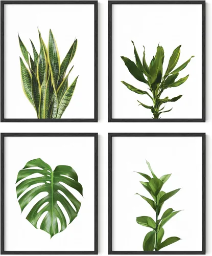 Miniatura 8 de HAUS AND HUES Arte de pared floral gris, juego de 4 pósteres de plantas para pared vintage, impresiones botánicas, cuadros de flores en blanco