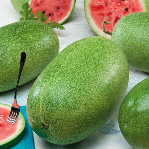 Miniatura 13 de Eden Brothers Semillas de sandía - Semillas sin OMG para plantar, múltiples variedades disponibles Semillas vegetales de bajo mantenimiento