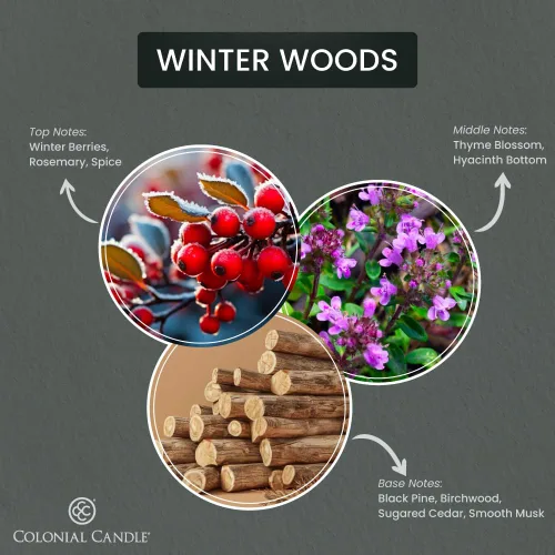 Miniatura 2 de Colonial Candle Winter Woods - Vela perfumada en frasco, colección Pop of Color, 3 mechas, verde, 14.5 onzas, hasta 60 horas de combustión