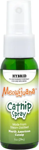 Miniatura 8 de Meowijuana Spray de hierba gatera de alta calidad, fórmula de alta potencia, fórmula natural para dueños de mascotas y hogares con varios gatos