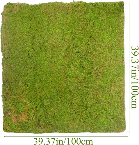 Miniatura 2 de FAICOIA Musgo artificial para decoración de 39 x 39 pulgadas, musgo falso para manualidades, musgo sintético para plantas de interior, césped Verde 1