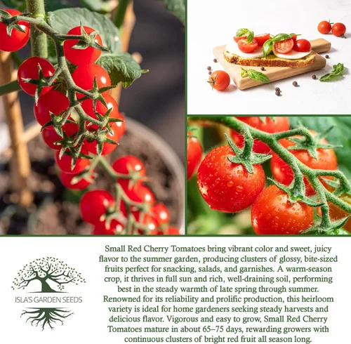 Miniatura 6 de Semillas pequeñas de tomate cereza roja para plantar, más de 500 semillas tradicionales por paquete, semillas de jardín de Isla