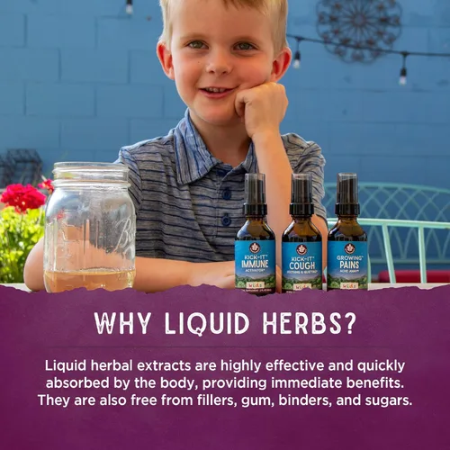 Miniatura 5 de WishGarden Herbs Daily Immune para niños, saúco orgánico y equinácea, tónico diario de apoyo inmunológico para niños, tintura herbaria líquida, sin