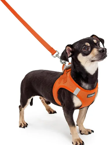Miniatura 35 de rabbitgoo Juego de arnés para perro de tamaño pequeño y correa, chaleco ligero suave para cachorro, arnés de malla transpirable para mascotas