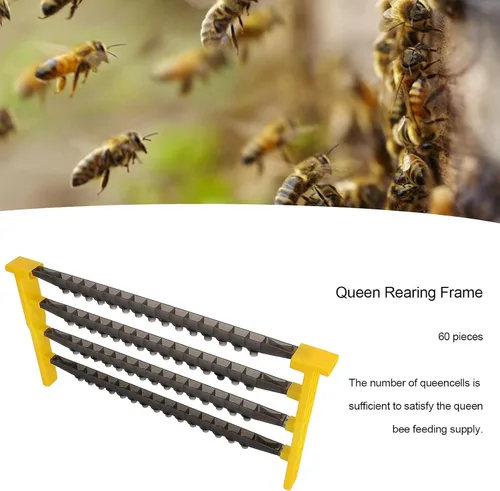 Miniatura 3 de 60 piezas de copas de célula de cría de reina, herramientas de apicultura de plástico, herramienta de cultivo de células con 2 lados y 4 barras