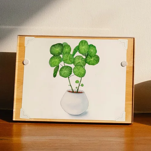 Miniatura 7 de Lineco Esquinas de fotos de archivo de 0.5 pulgadas sin ácidos, color marfil, autoadhesivas, sensibles a la presión, no amarillean, monta imágenes