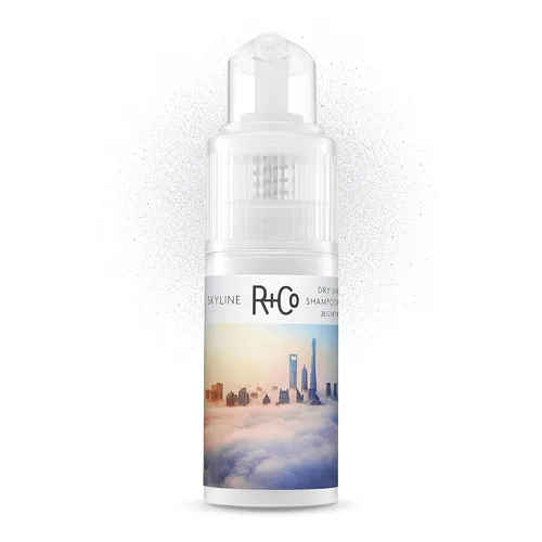 R+Co Skyline Dry Champú en polvo | Refresca dramáticamente, acondiciona sin peso + textura | Vegano + libre de crueldad | 1.0 onzas
