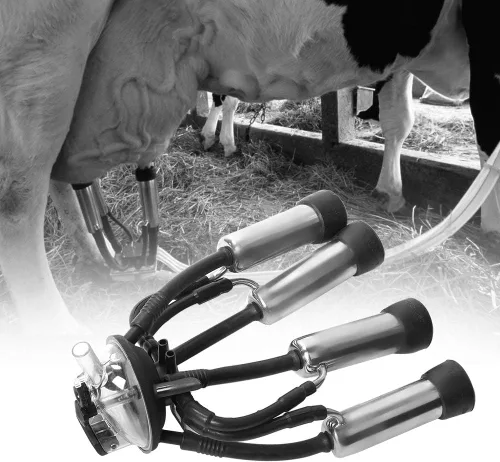 Miniatura 3 de Racimo de ordeño, racimo de ordeño de vaca gruesa de goma de acero inoxidable de 240 CC con un gancho, colector de leche de vaca de estructura