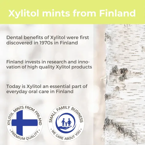 Miniatura 5 de Mentas de xilitol para el cuidado oral - Sabor manzana, con xilitol y eritritol, caramelo sin azúcar, mentas dentales Happy Teeth de Finlandia, 5 oz
