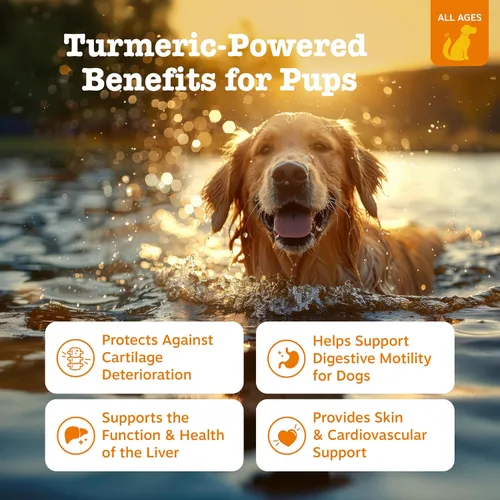Miniatura 2 de Zesty Paws Curcumina de cúrcuma para perros, para la movilidad de la cadera y las articulaciones, apoya la salud cardiovascular digestiva canina